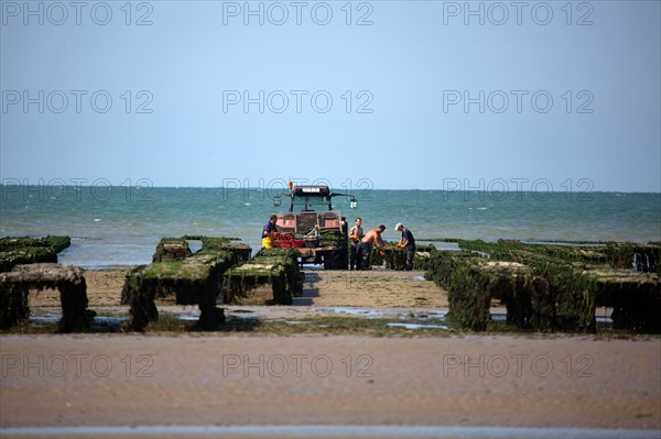 Côte de nacre, landing beaches