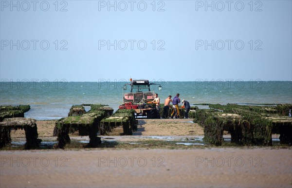 Côte de nacre, landing beaches