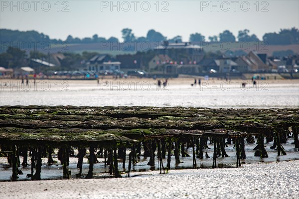 Côte de nacre, landing beaches