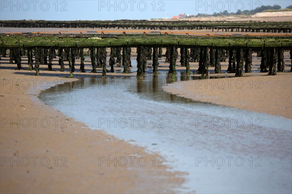 Côte de nacre, landing beaches