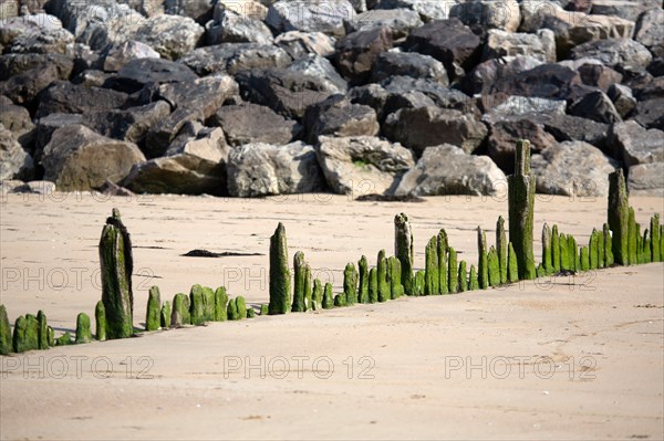 Côte de Nacre, plages du débarquement