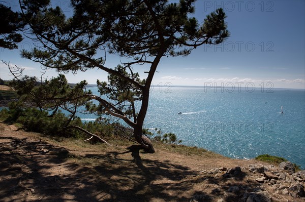 Pleneuf Val André, coastal path