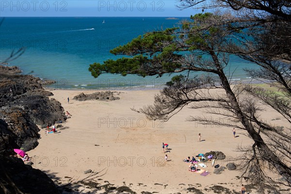 Pleneuf Val André, coastal path