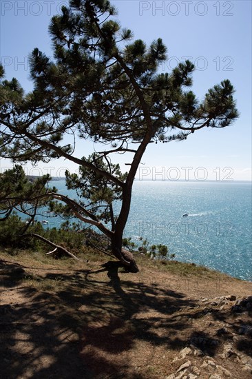 Pleneuf Val André, coastal path