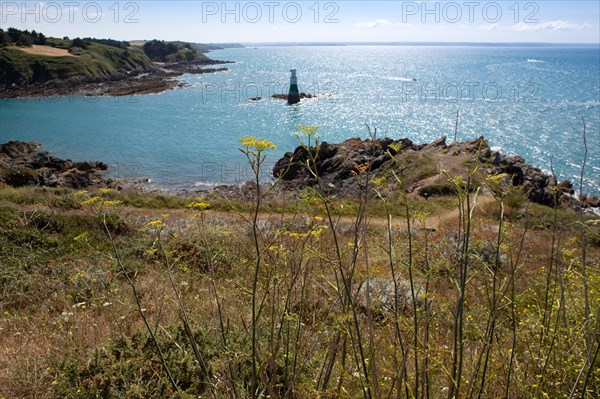 Pleneuf Val André, coastal path