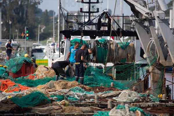 Darning nets, Calvados