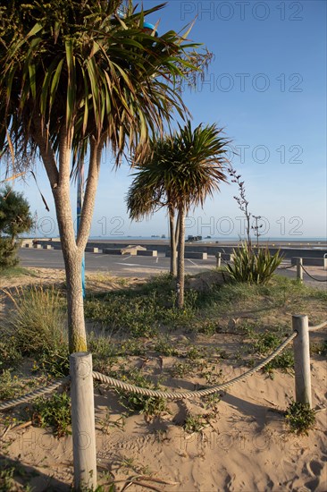 Plages du débarquement, Asnelles sur Mer