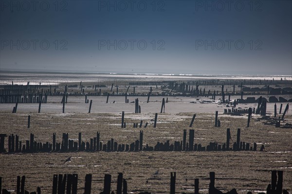 Plages du débarquement, Asnelles sur Mer