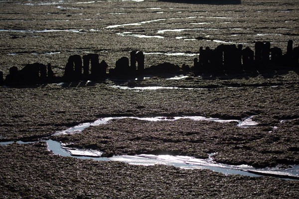 D-Day Landing Beaches, Asnelles sur Mer