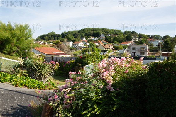 Saint-Martin-en-Campagne, Seine Maritime