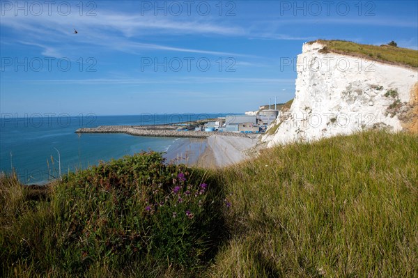 Saint-Martin-en-Campagne, Seine Maritime