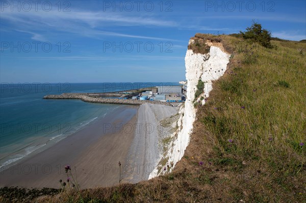 Saint-Martin-en-Campagne, Seine Maritime