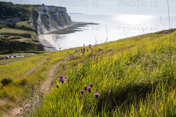 Saint-Martin-en-Campagne, Seine Maritime