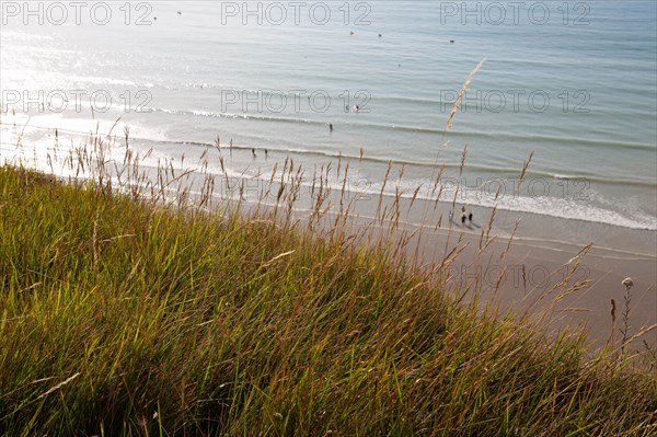 Saint-Martin-en-Campagne, Seine Maritime