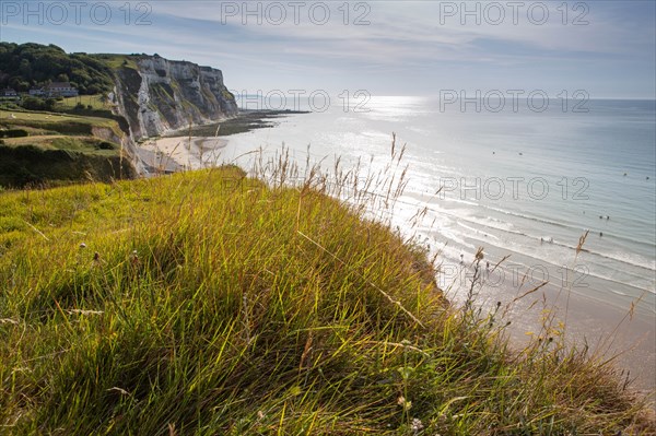 Saint-Martin-en-Campagne, Seine Maritime