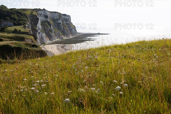 Saint-Martin-en-Campagne, Seine Maritime