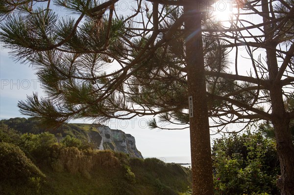 Saint-Martin-en-Campagne, Seine Maritime