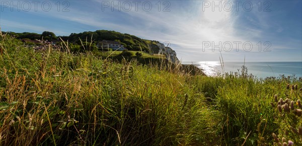 Saint-Martin-en-Campagne, Seine Maritime