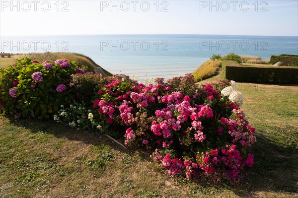 Saint-Martin-en-Campagne, Seine Maritime