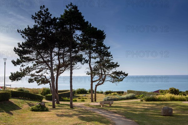 Saint-Martin-en-Campagne, Seine Maritime