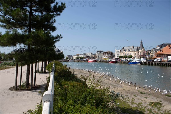 Docked trawlers, Trouville-sur-Mer