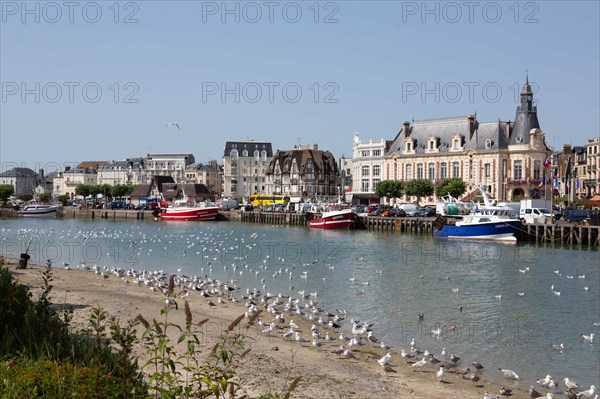 Docked trawlers, Trouville-sur-Mer