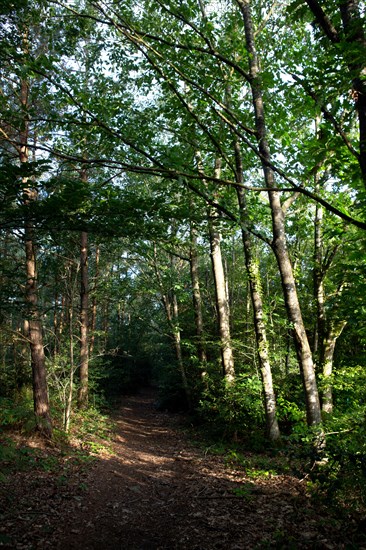 Bagnoles-de-l'Orne