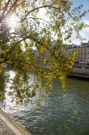 Paris, Quai des Orfèvres