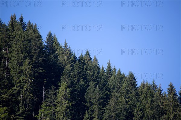 Morzine, Haute-Savoie