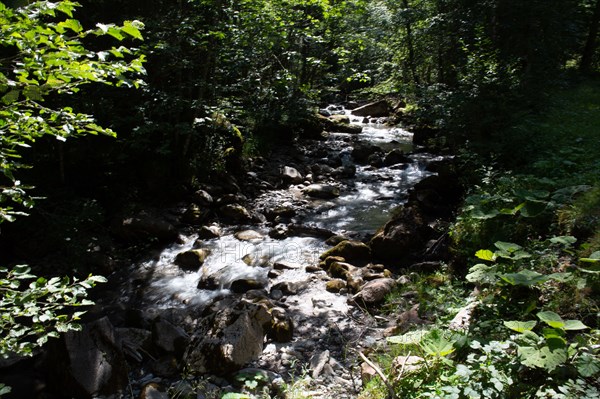 Morzine, Haute-Savoie