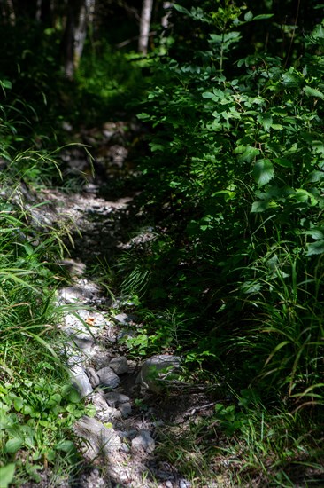 Morzine, Haute-Savoie