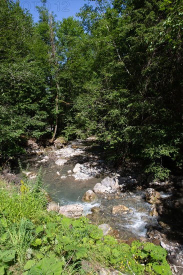 Morzine, Haute-Savoie