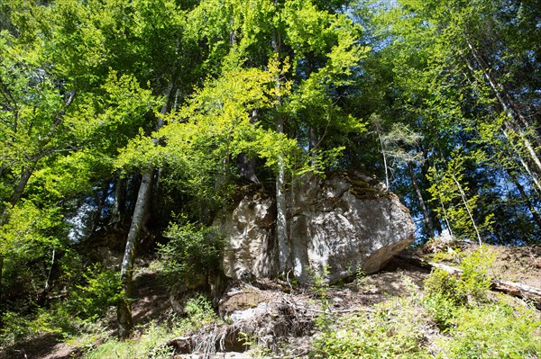 Morzine, Haute-Savoie