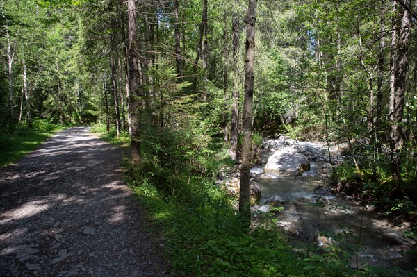 Morzine, Haute-Savoie