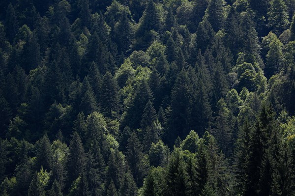 Morzine, Haute-Savoie