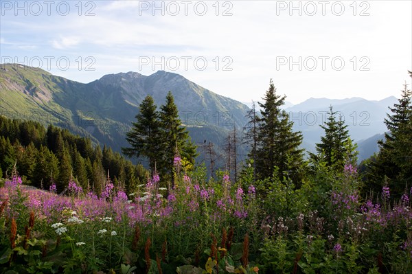 Avoriaz, Haute-Savoie