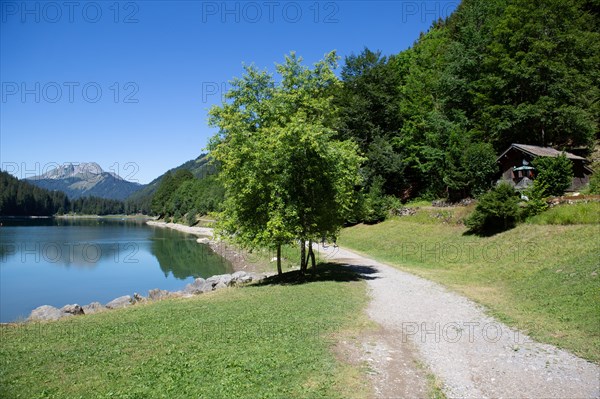 Lac de Montriond, Haute-Savoie