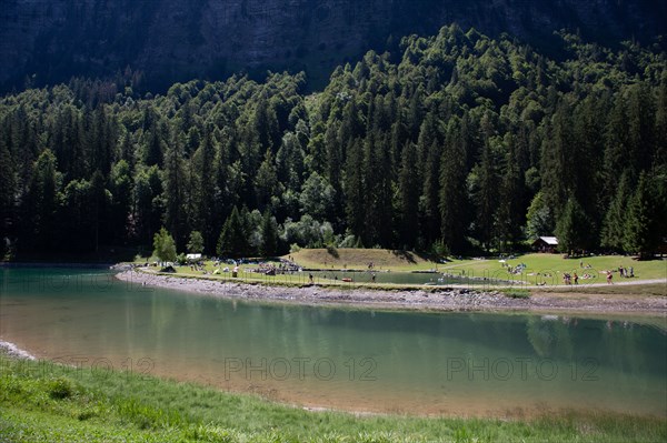 Lac de Montriond, Haute-Savoie