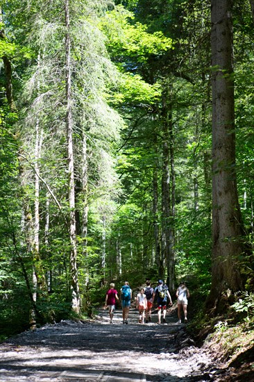 Montriond, Haute-Savoie, cascade d'Ardent