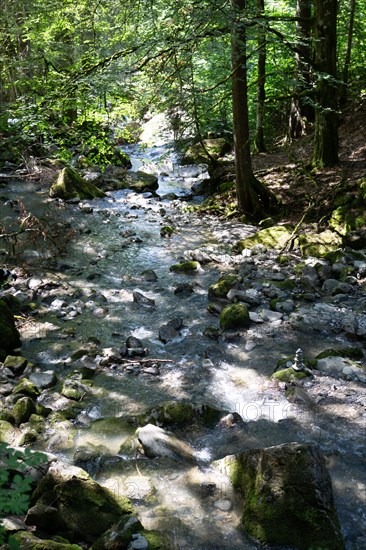 Montriond, Haute-Savoie, cascade d'Ardent