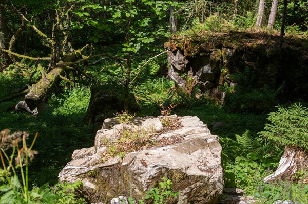 Montriond, Haute-Savoie, cascade d'Ardent