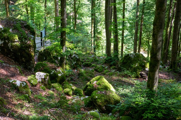 La Vernaz, Haute-Savoie, site des grottes du Pont du Diable