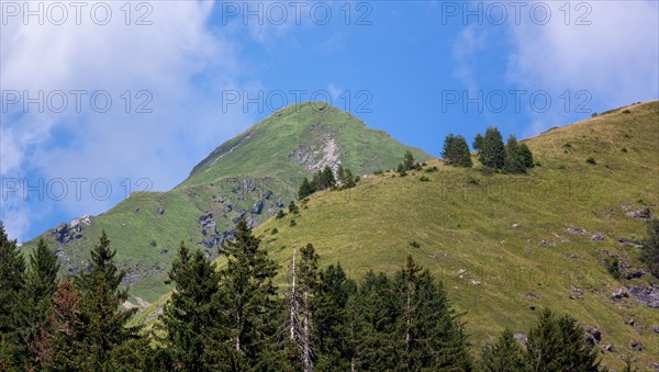 Morzine, Haute-Savoie, site du lac des Mines d'Or, le rouleau de Bostan