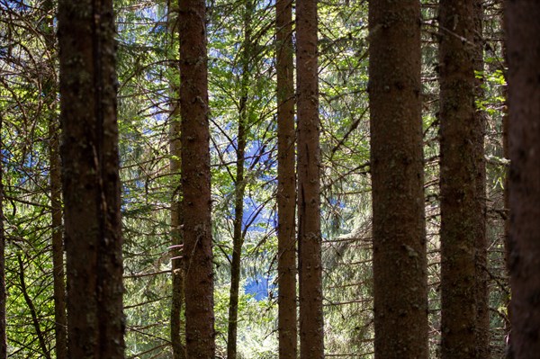 Morzine, Haute-Savoie