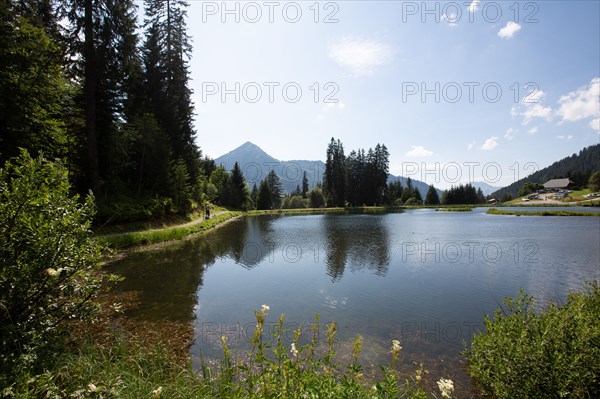 Morzine, Haute-Savoie, site du lac des Mines d'Or, le rouleau de Bostan