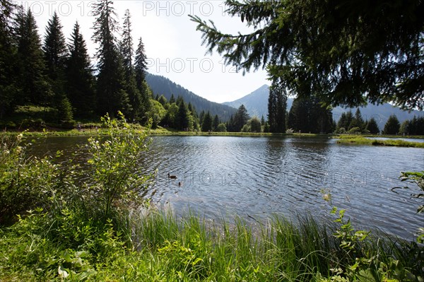 Morzine, Haute-Savoie, site of the Lac des Mines d'Or, the Rouleau de Bostan