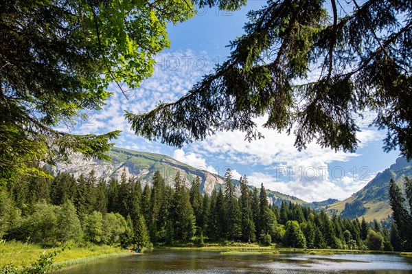 Morzine, Haute-Savoie, site du lac des Mines d'Or, le rouleau de Bostan