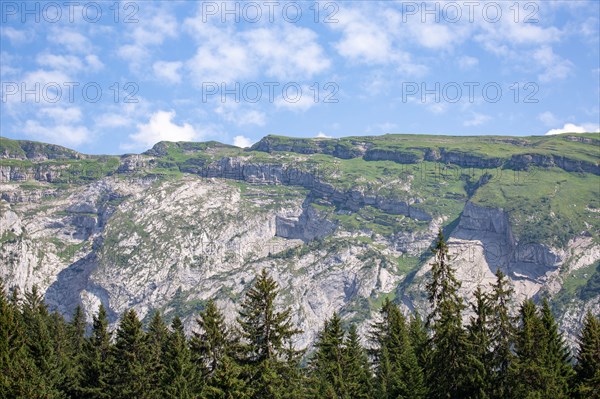 Morzine, Haute-Savoie, site du lac des Mines d'Or, le rouleau de Bostan