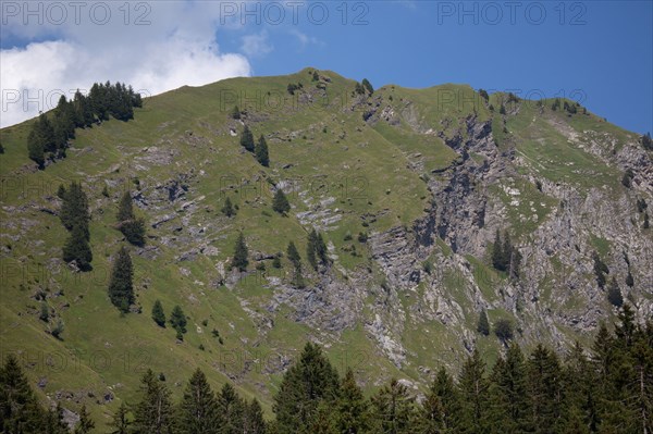 Morzine, Haute-Savoie, site du lac des Mines d'Or, le rouleau de Bostan