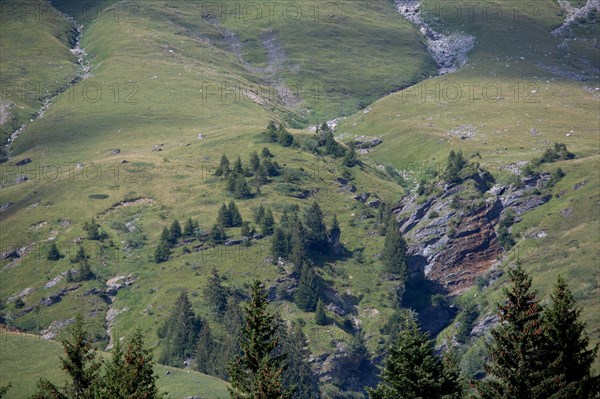 Morzine, Haute-Savoie, site du lac des Mines d'Or, le rouleau de Bostan